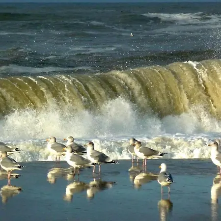 Haus Krueger * Hörnum